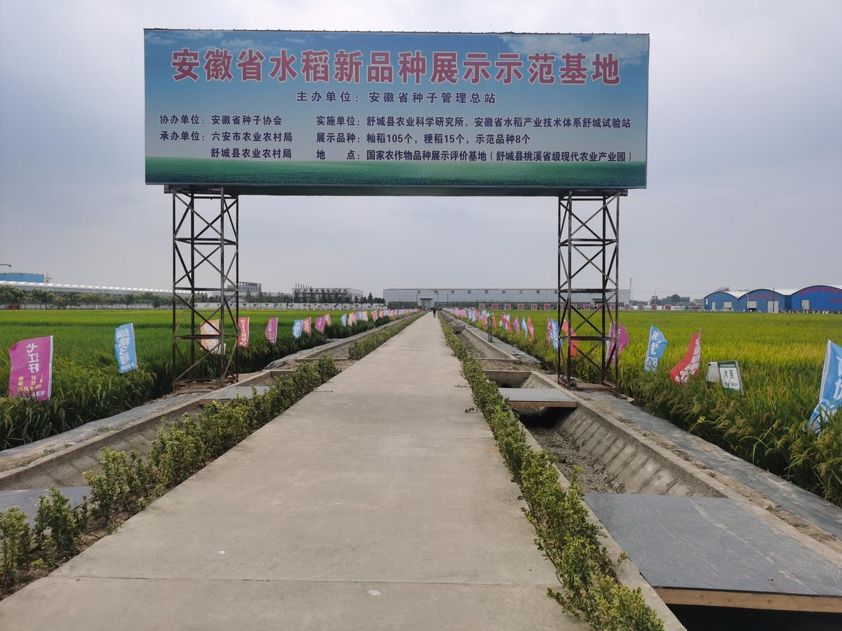 圖片5.png 圖片5.png