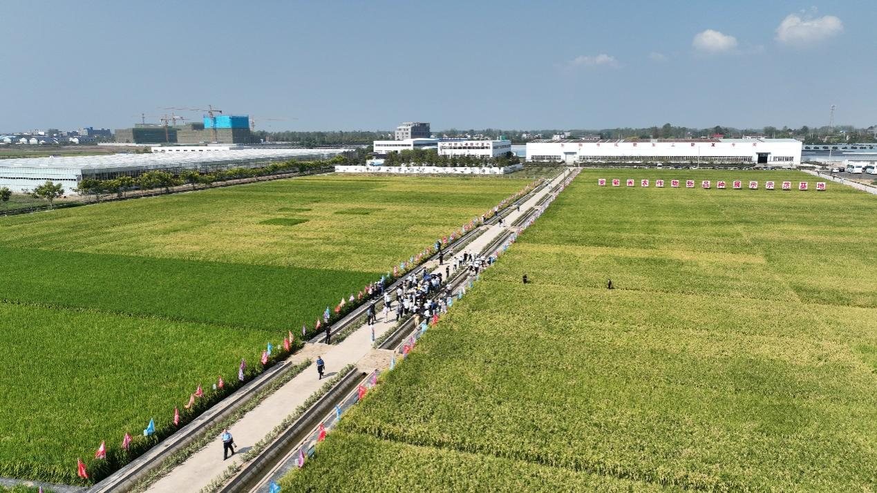 圖片4.png 圖片4.png