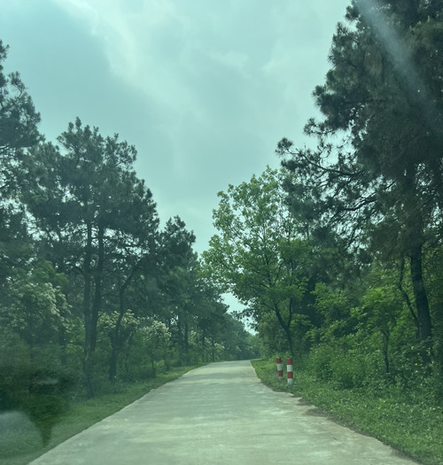 IMG_0109.JPG IMG_0109.JPG