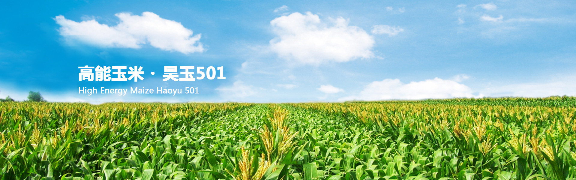 65a9c8e03e1212fae190bdb03bdafaeb.jpg 種子加工倉儲管理