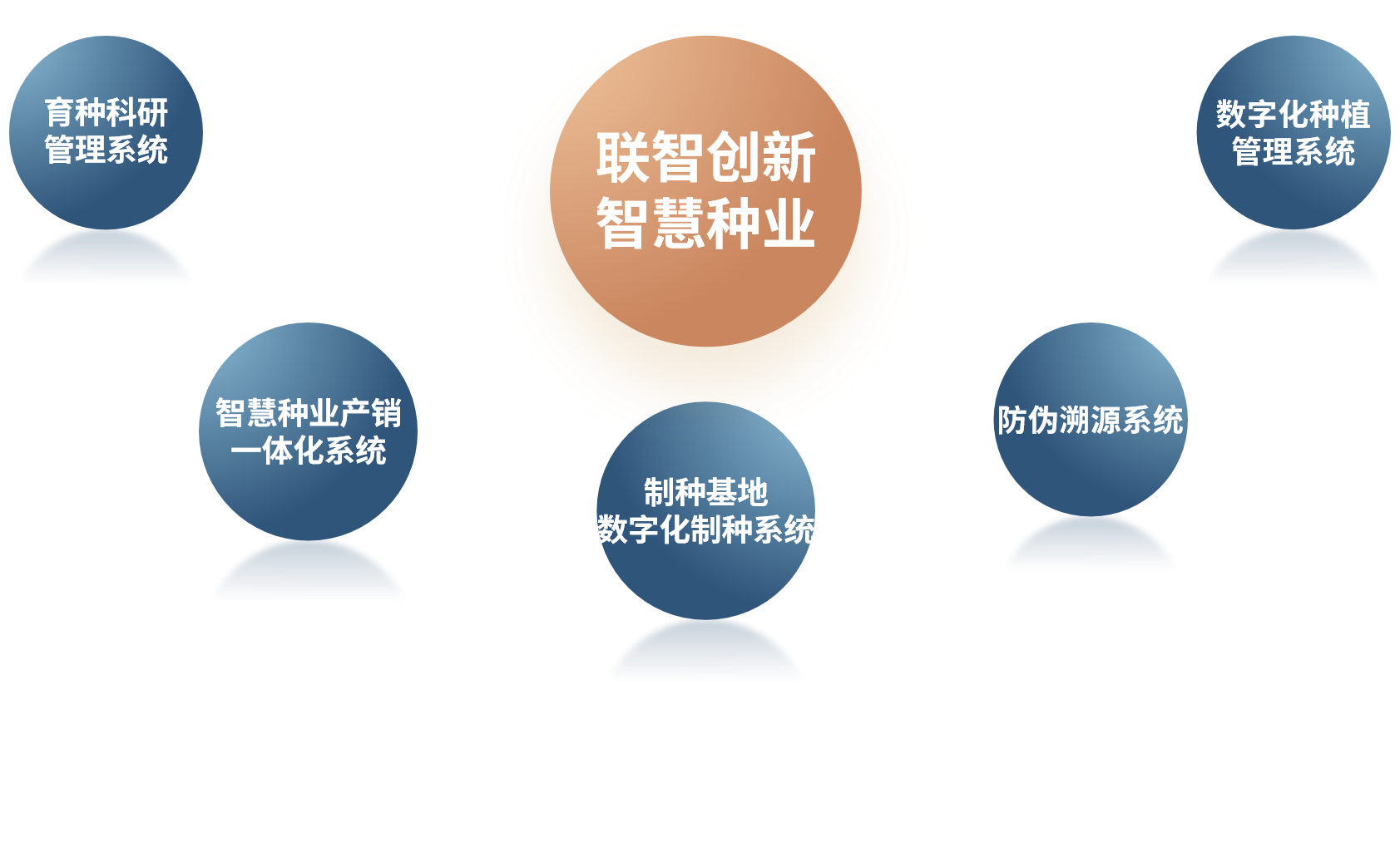 圖片9.png 種業進銷存