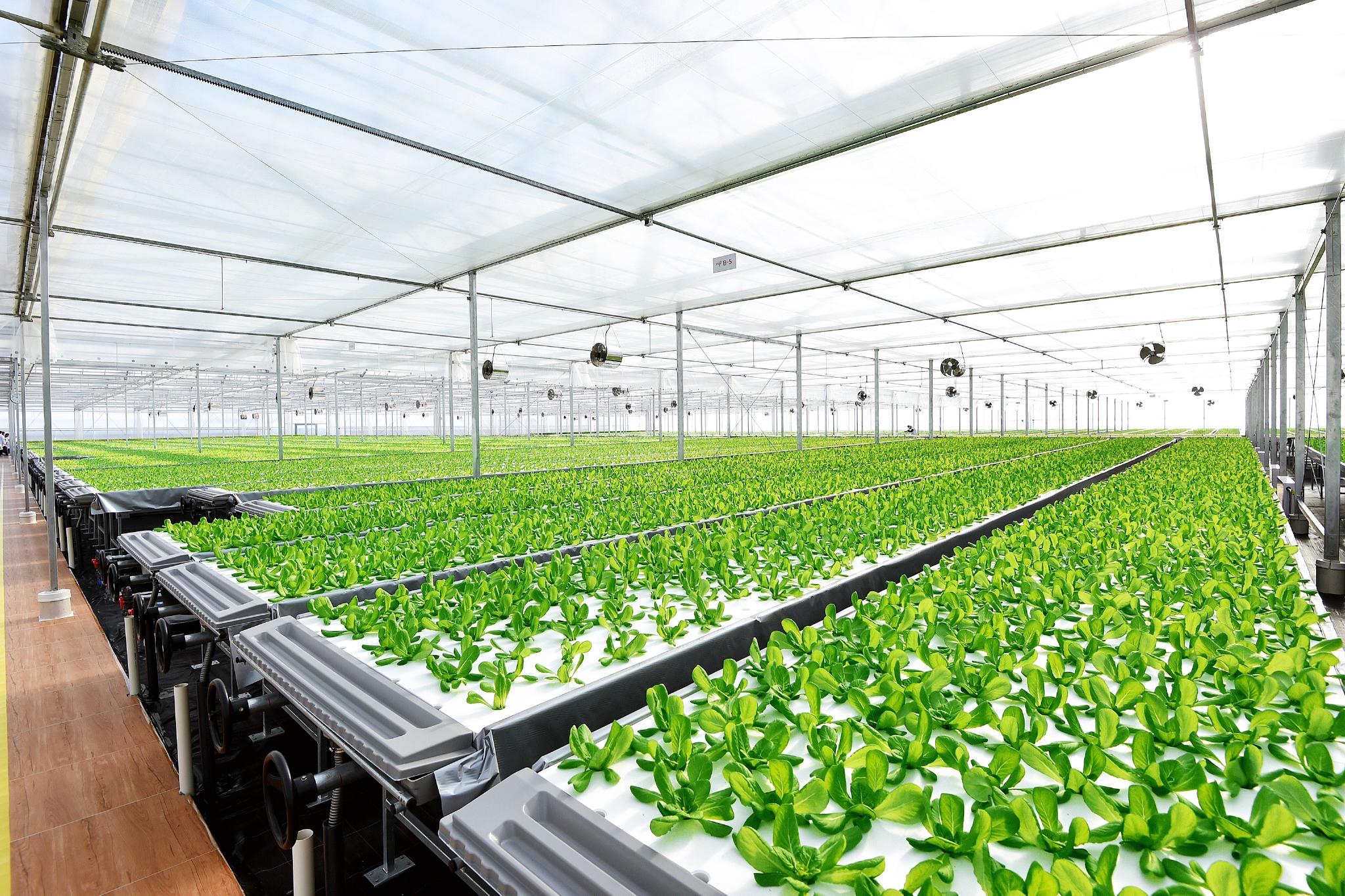 45c7ecd2069b6c11d21badc2c0c8c397.jpg 植物工廠