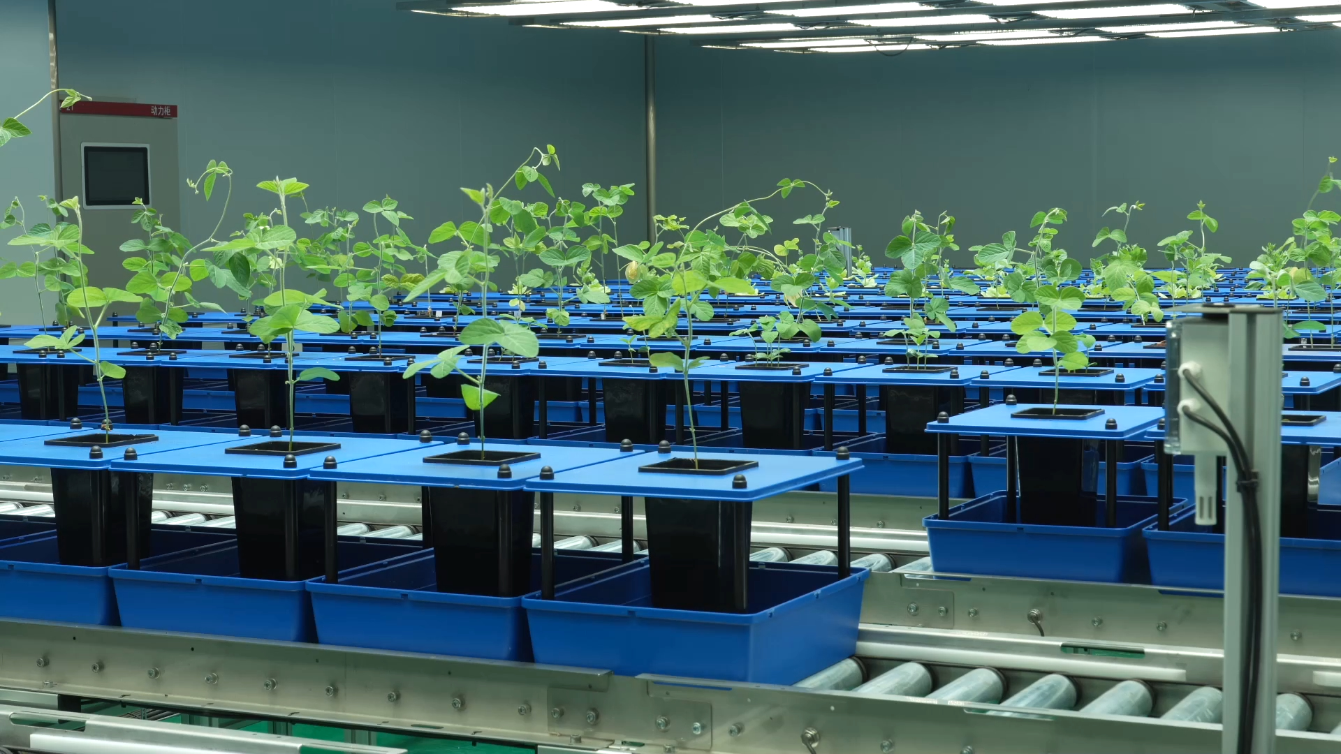 c36dfc0164122d4594e877501781f2fd.jpeg c36dfc0164122d4594e877501781f2fd.jpeg