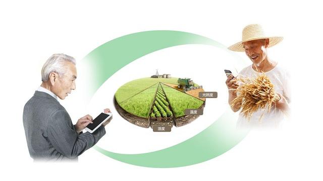 a01d69197ab736381e731bfd8f6b65ae.jpeg 農業ai種植