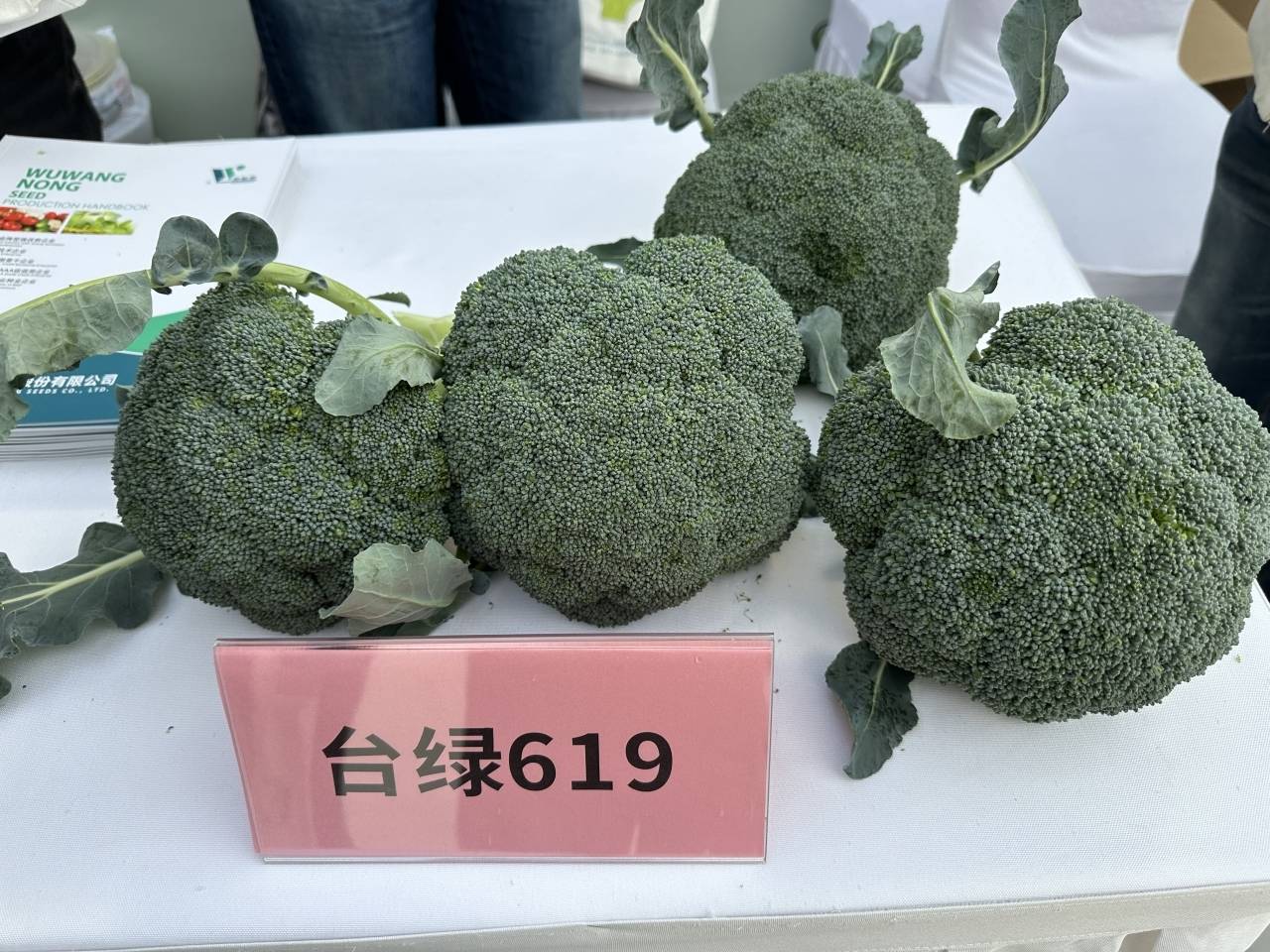 3d670a3462134b0c285ee3dce3a772b5.jpeg 種子管理軟件