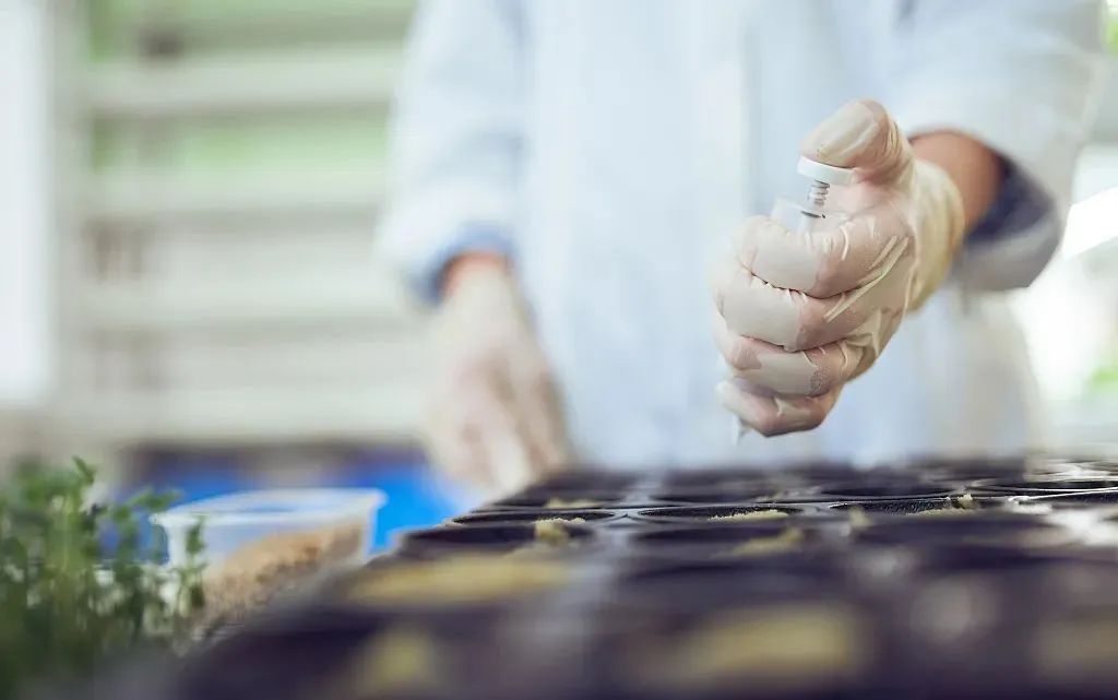 595094542224cd30b2f41e1c727c77a1.jpeg 智慧種業