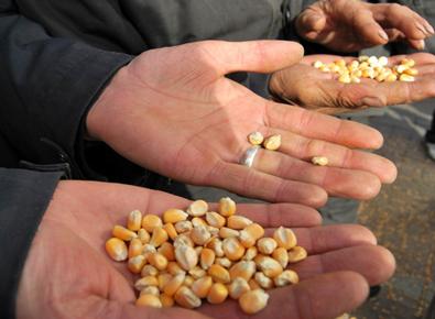 814392e23c6bd027cb6b0de8d5c2c705.jpeg 溯源軟件