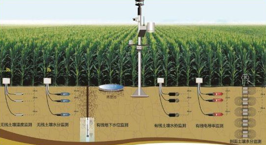 23399b4f0b3c7097722064b1edd72144_副本.jpg 蟲情監測站