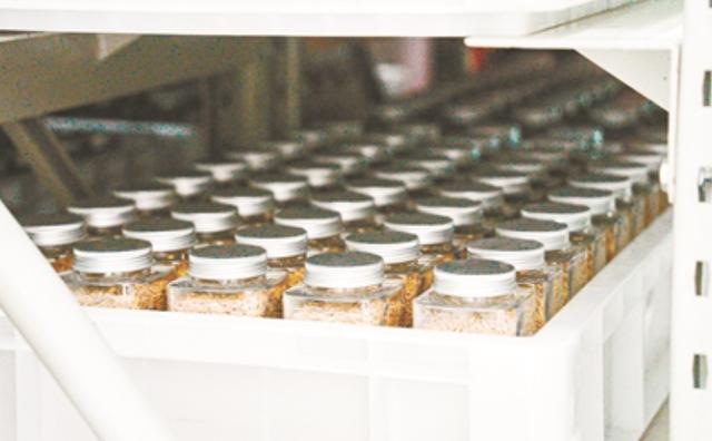 d9dcfaaeed9c9f1ae8e563fea82abb58.jpeg 種質資源庫管理