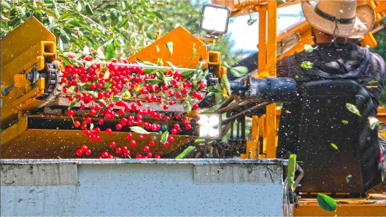 c995cf8880db0ea812dad7801c412701.jpeg 智慧農業