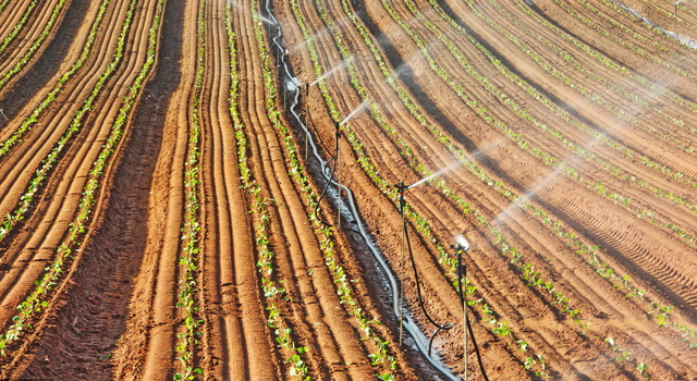 9633c92975c206aaeaa4c0515c161ada.jpeg 數字農業