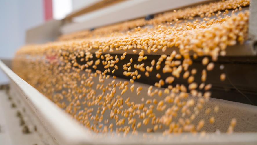 95a70092744e25f73de014996abfcc69.jpeg 種子二維碼