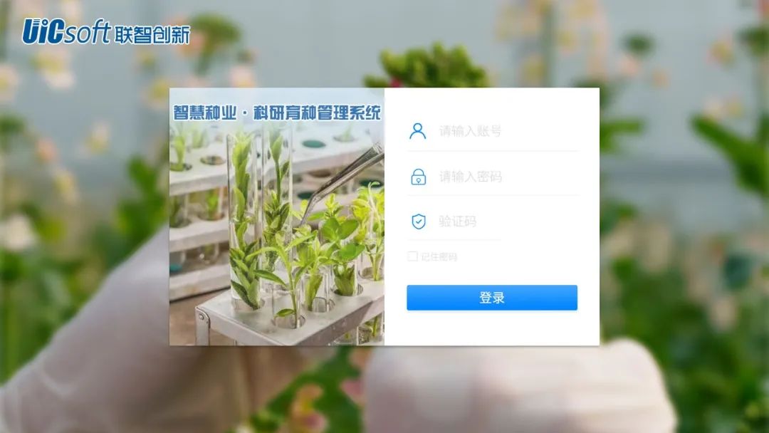 640.jpg 育種軟件