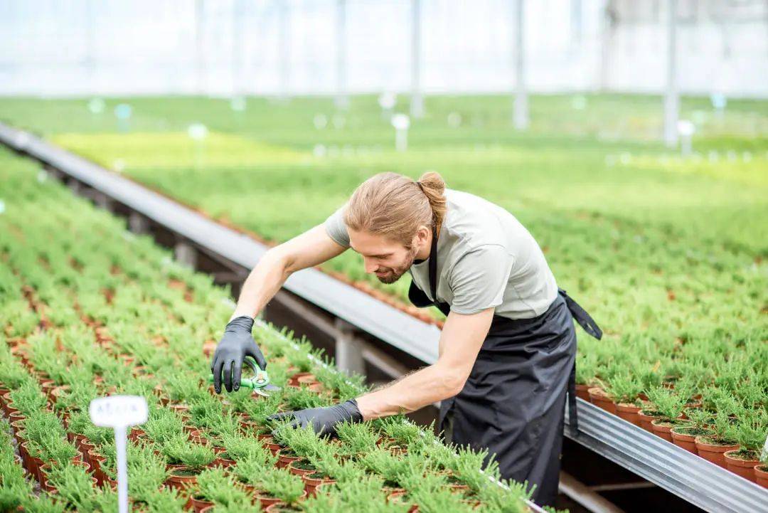 4ce27306052af4f34a388be891efc84f.jpeg 育種軟件