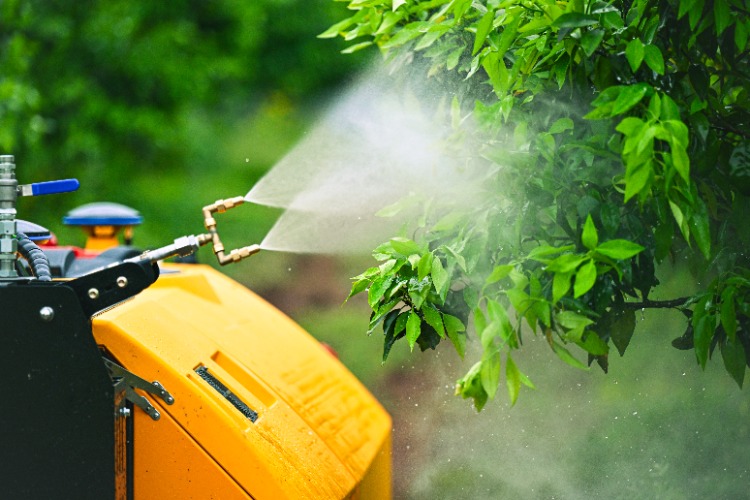 df8475ce1e4f9ab71a2c91bd028b3abe.jpeg 果園信息化管理