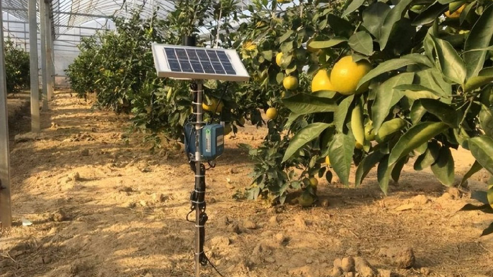 7875b123b3df1d2cfa796cb9bd255639.jpg 果園數字化管理