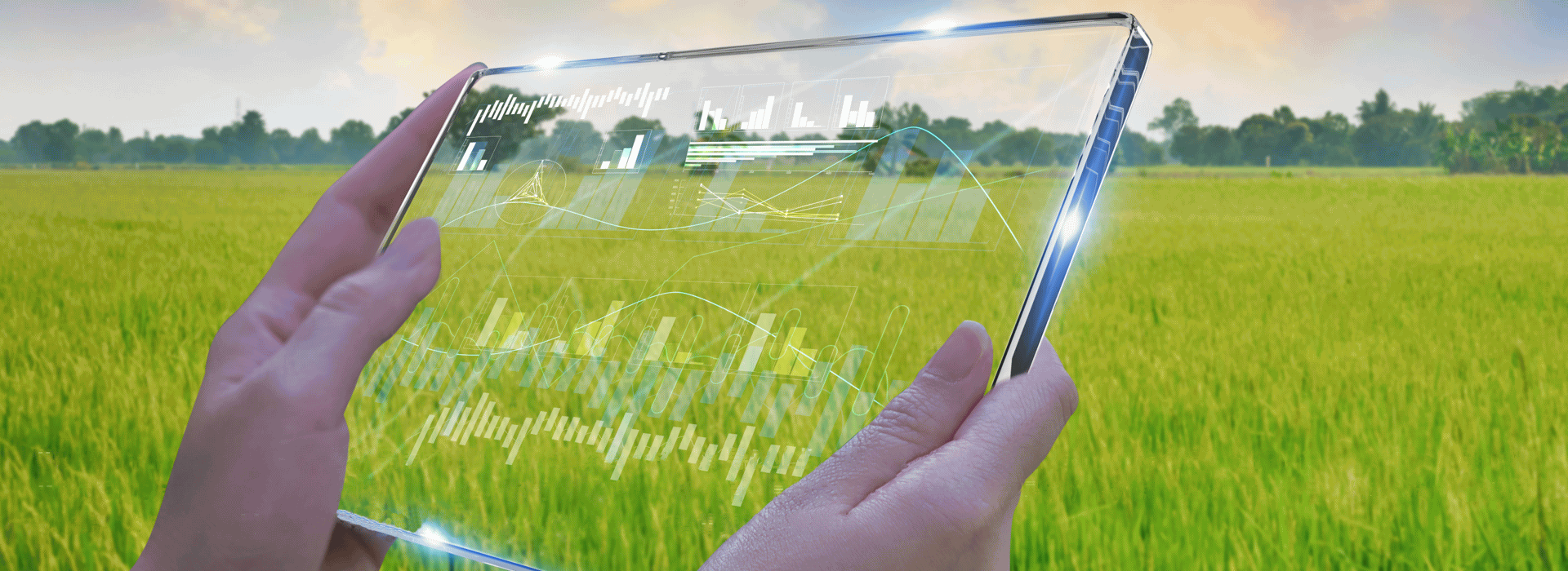 047640bd46f49be22e9a09c5f916f71e.png 047640bd46f49be22e9a09c5f916f71e.png