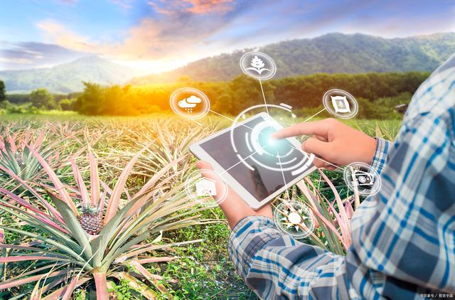 聯智創新智慧農業