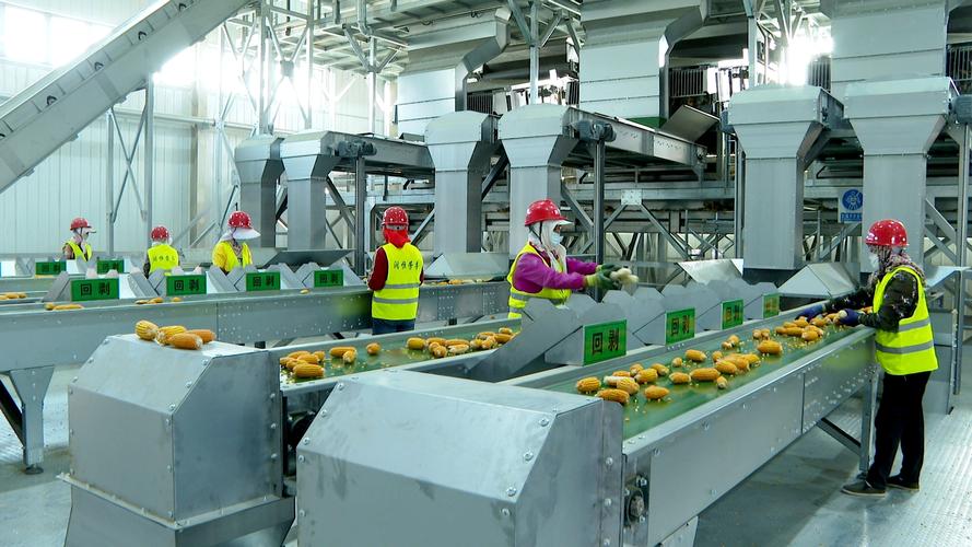 d1c050d7bcd49ea4548c6a321f53af31.jpeg 智慧種業