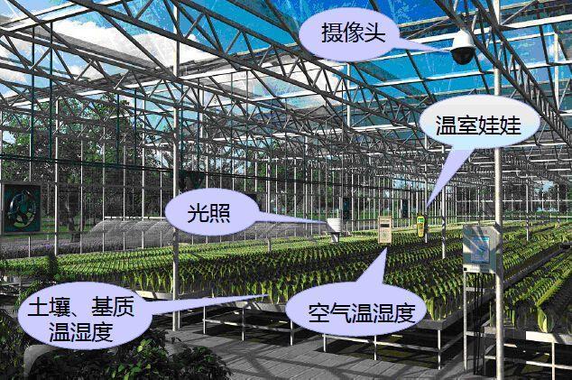 eff5cafd0aab13ab7278d28b5ba34c23.jpeg 種業供應鏈管理軟件