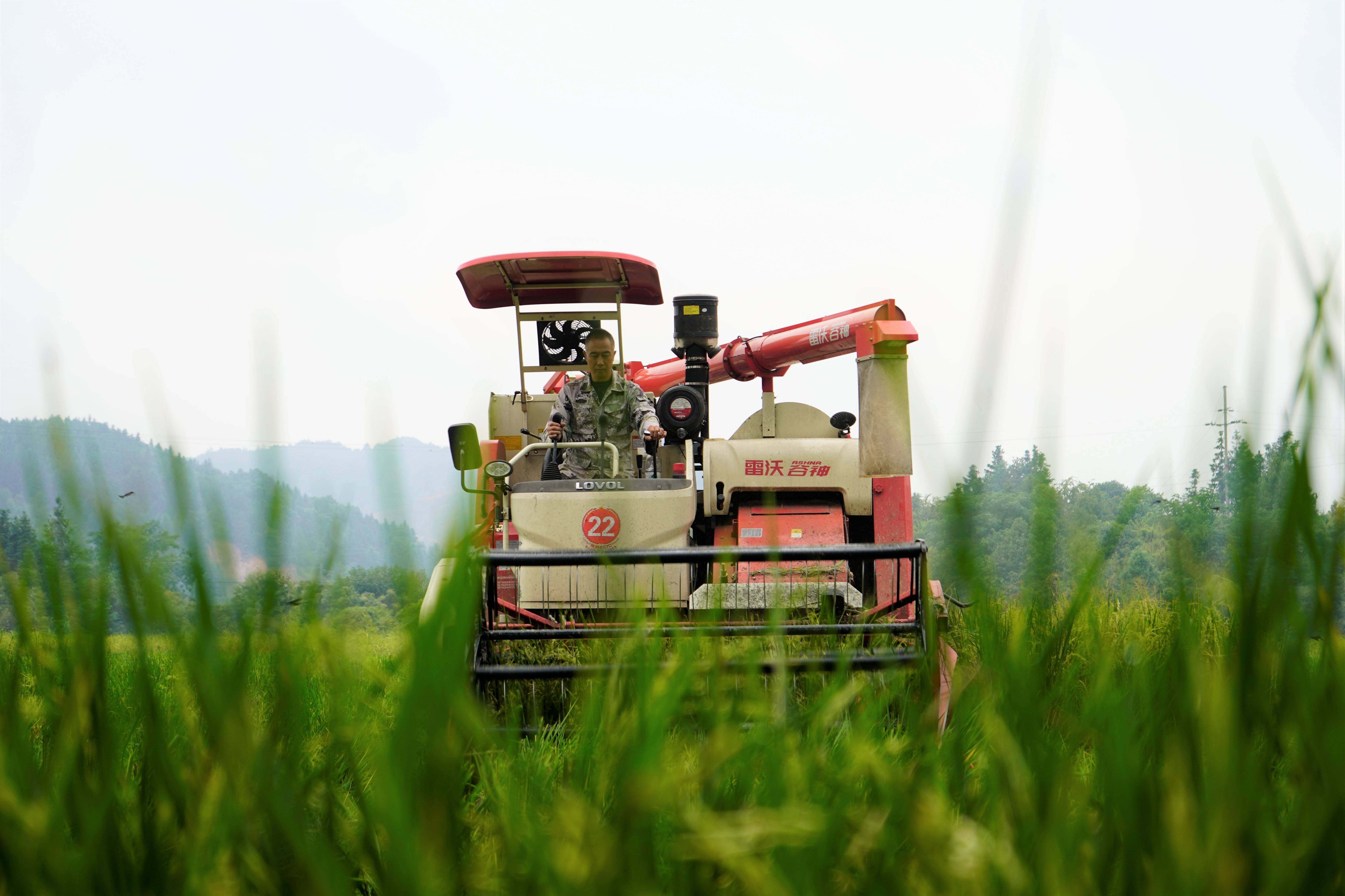 f08299de045e87a7f120513f57a9708a.jpeg 農情監測平臺