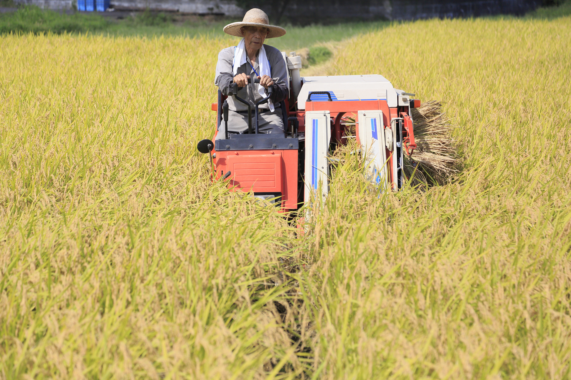 cf826dec2d8c8dfe442fcd5e9f80ac15.jpeg 現代農業