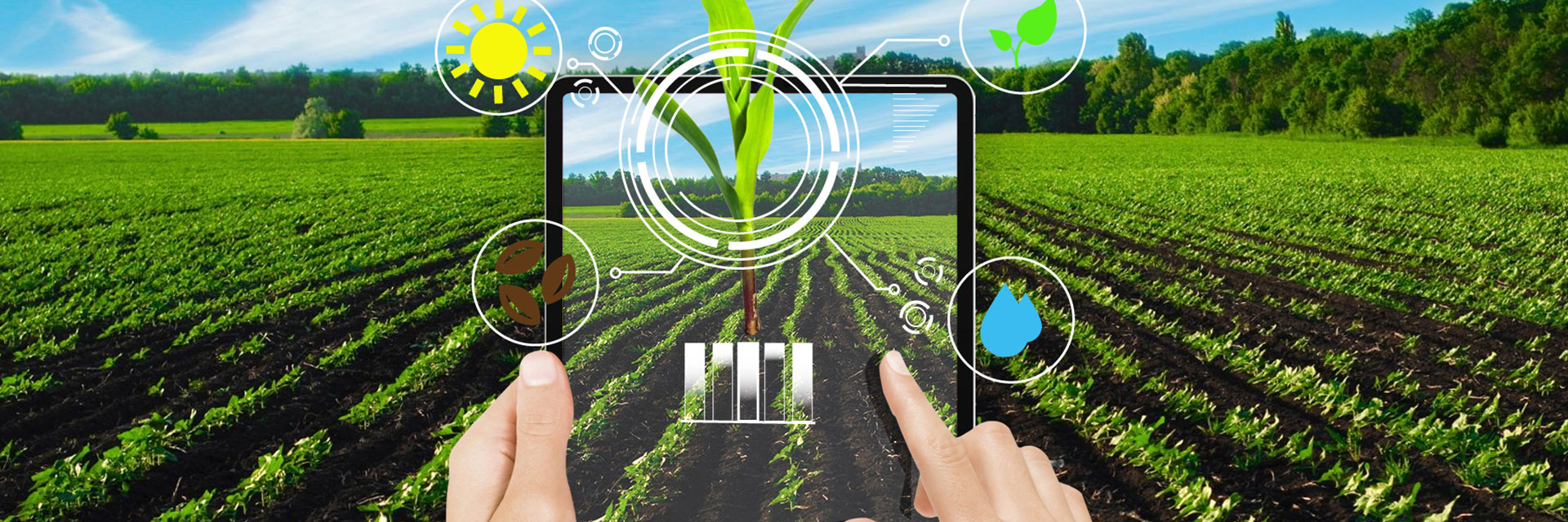 345f66e2f0ffe6dfe46562e6375531cb.jpg 可視化農業數據大屏