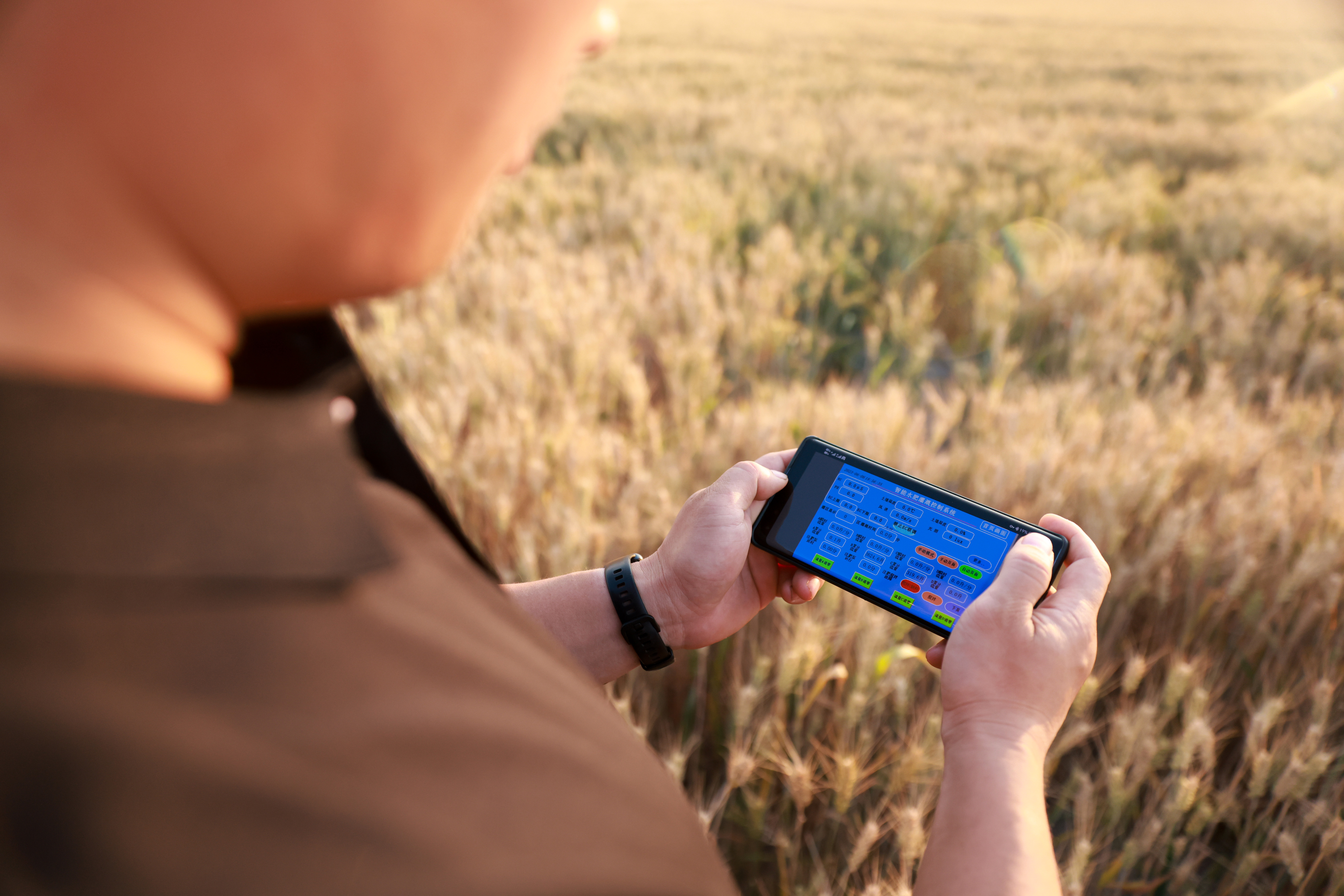 農業大數據平臺