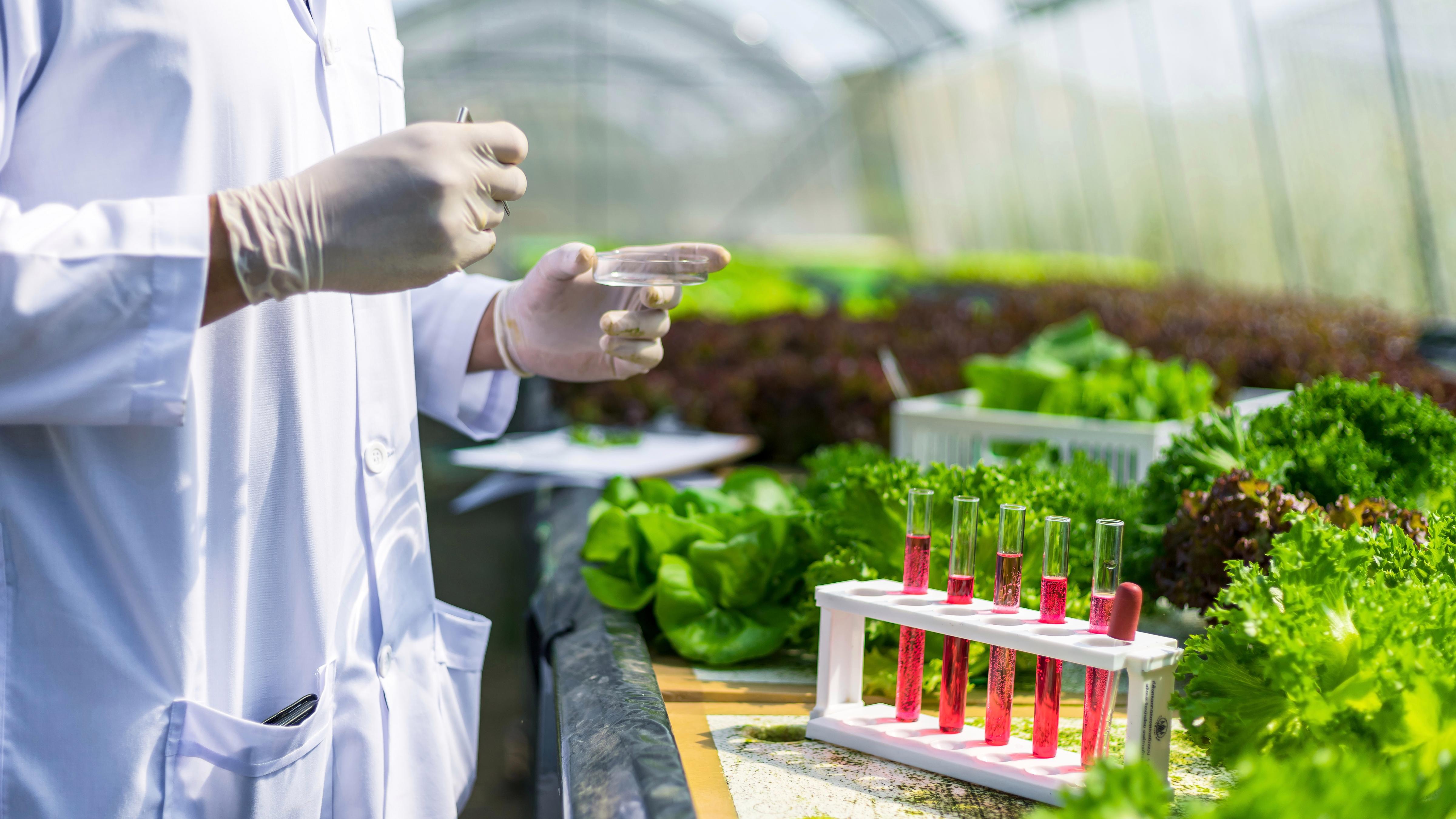 e89b274a62ec12107f3df1807b4b6479.jpeg 智慧育種小程序