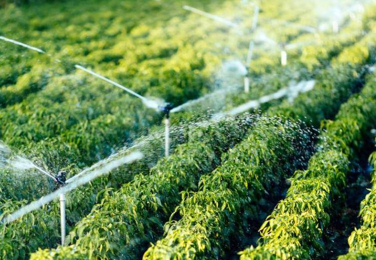 d85700b6e34b8d6ab3114ebbdd9b05ee.jpeg 作物產量預測系統