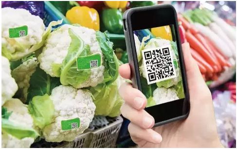 91bd79a54237260a473ed211397f0c63.jpg 農產品溯源系統