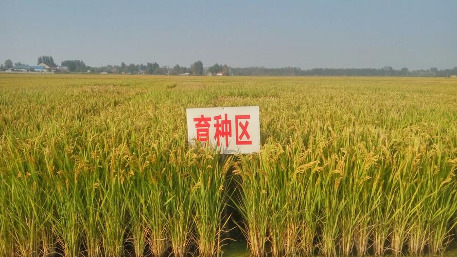 育種試驗管理系統